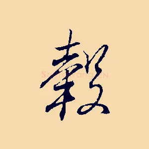 轂