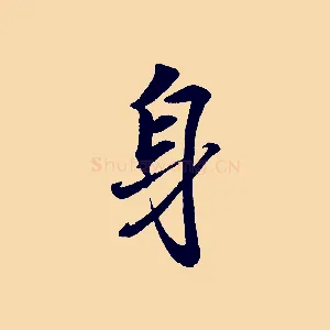 身