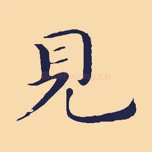 見