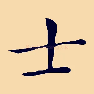 士