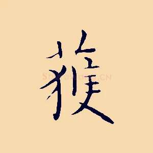 獲