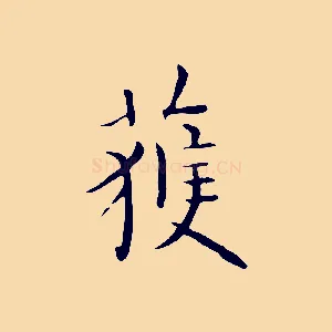 獲