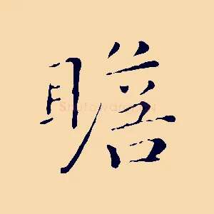 瞻