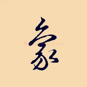 象