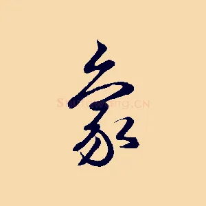 象