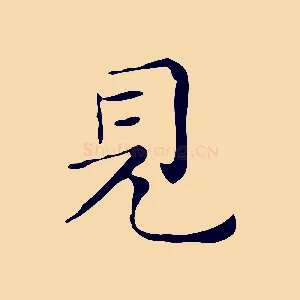 見