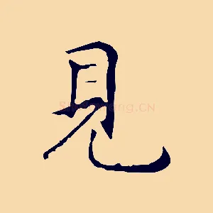 見