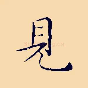 見