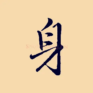身