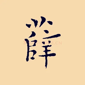 薛