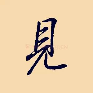 見