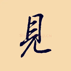 見