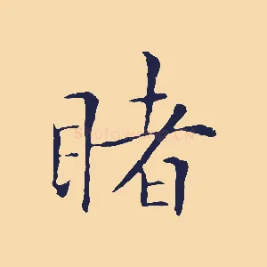 睹