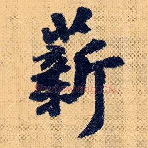薪