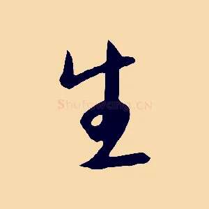 生