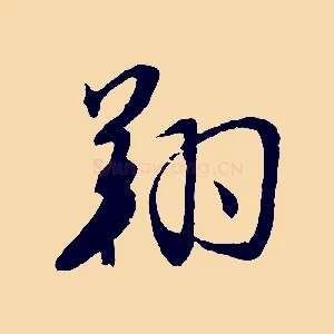 翔