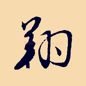 翔