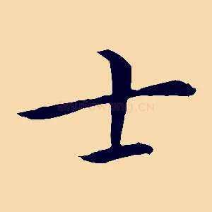 士