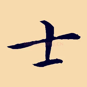 士