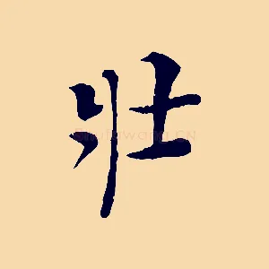 壯