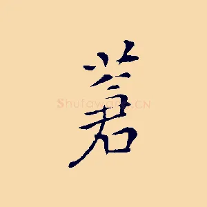 蒼