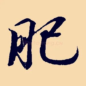 肥
