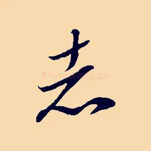 志