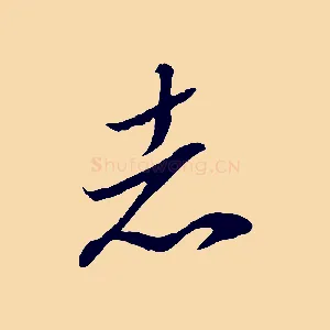 志