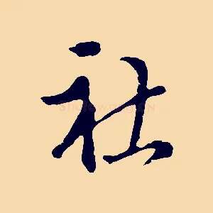 社