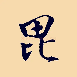 毗