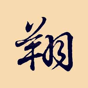 翔