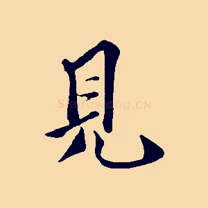 見
