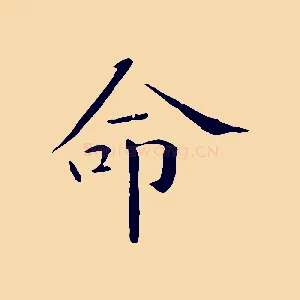 命