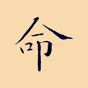 命