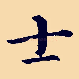 士