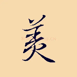 美