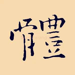 體