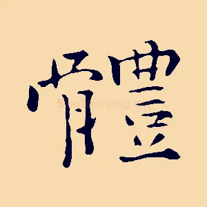 體