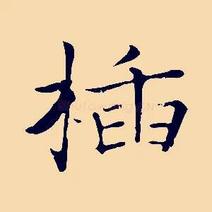 插