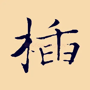 插