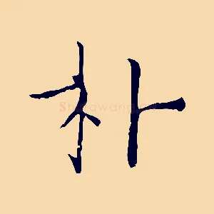 朴