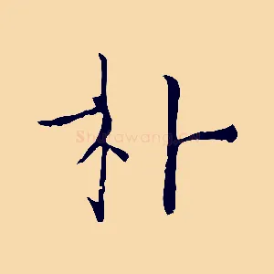 朴