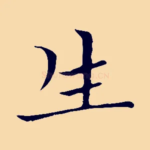生