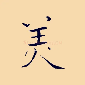 美