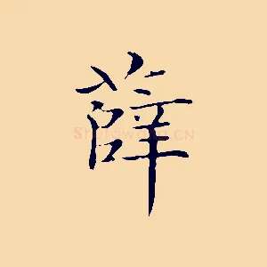 薛