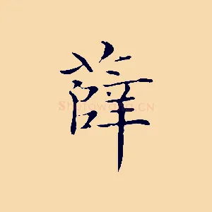 薛