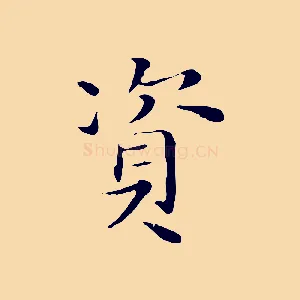 資