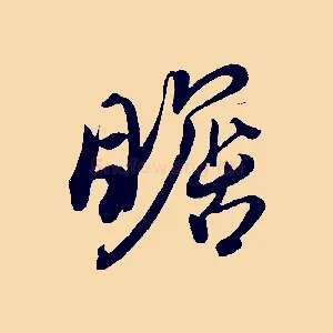 瞻