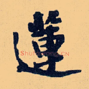 莲