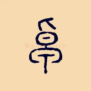 卓